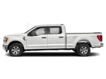 2023 Ford F-150 XLT 302A Sport