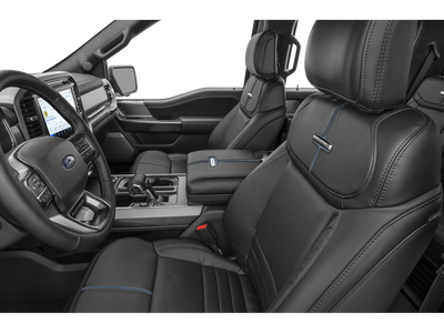 2025 Ford F-150 Platinum FX4