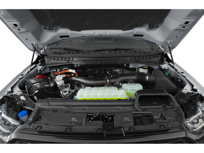 2025 Ford F-150 Platinum FX4