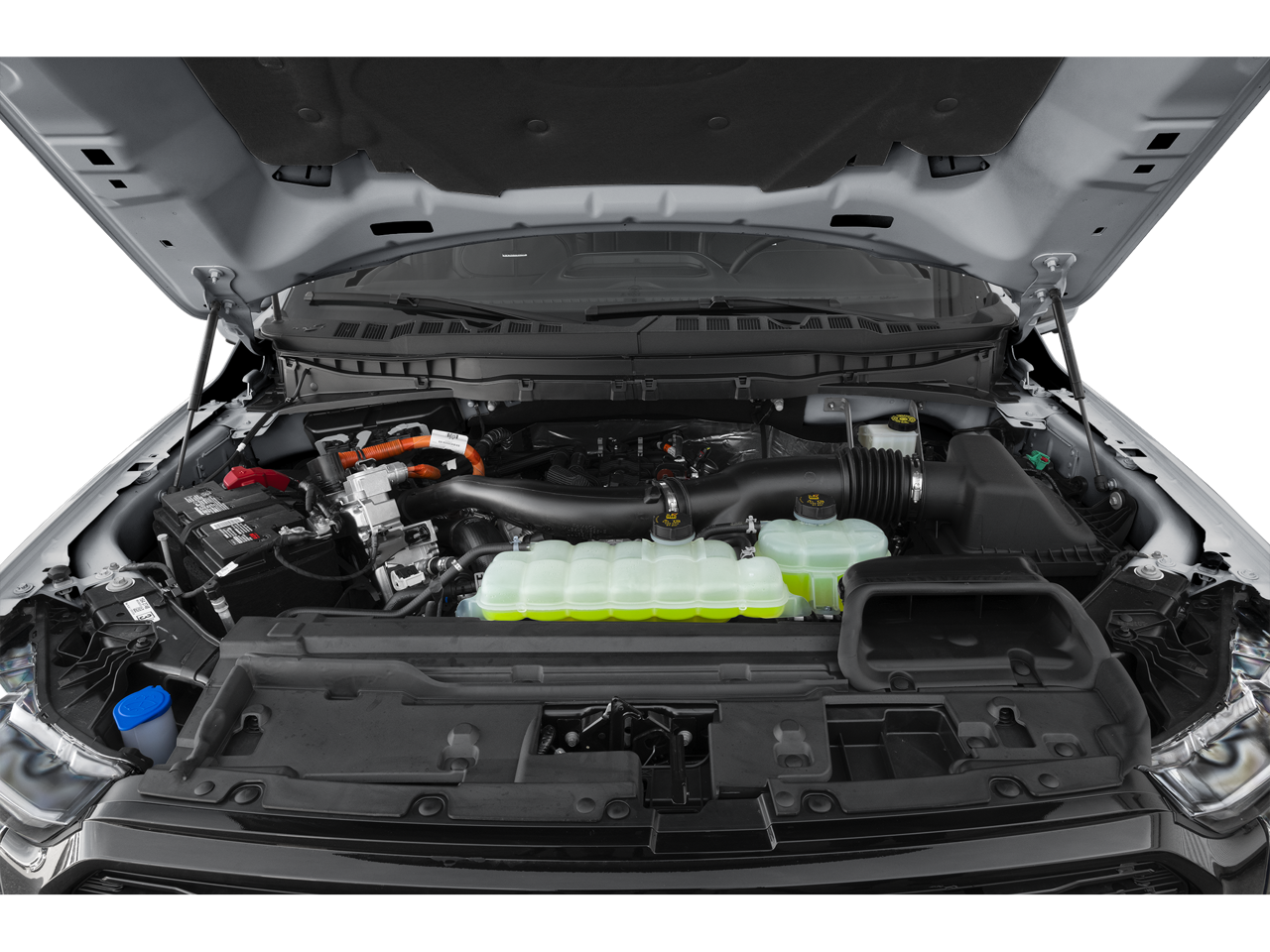 2025 Ford F-150 Platinum FX4