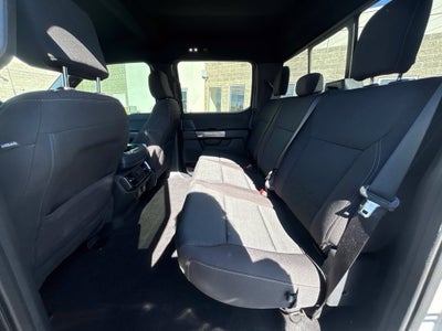 2023 Ford F-150 XLT 302A Sport