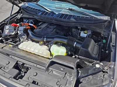 2023 Ford F-150 XLT 302A Sport