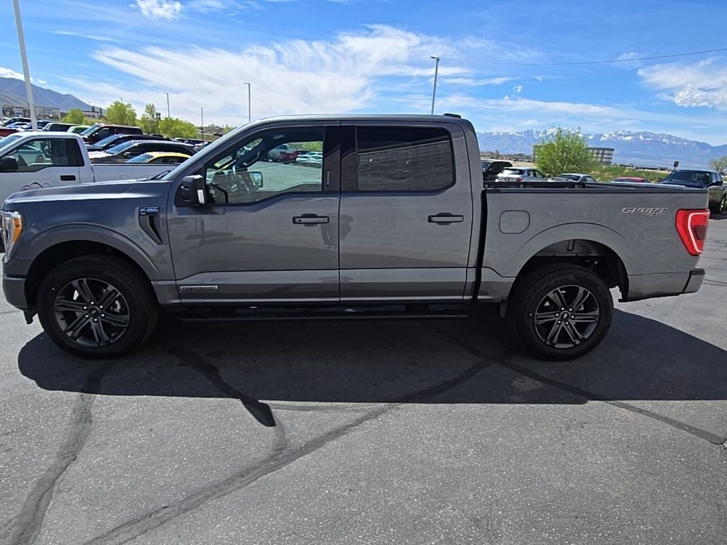 2023 Ford F-150 XLT 302A Sport