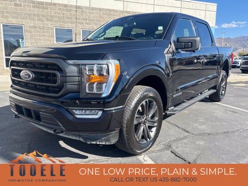 2023 Ford F-150 XLT 302A Sport